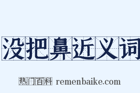 没把鼻近义词是什么意思的图片